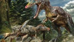 Çin'in güneyinde yeni bir dinozor türü keşfedildi