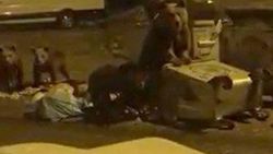 Uludağ’da ayılar ormandan çıkıp çöp konteynerlerine daldı