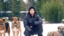 Tarkan'dan sokak hayvanları için çağrı