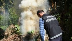 Hevsel Bahçeleri'ne uyuşturucu ektiler