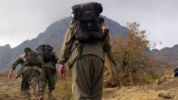 Şırnak'ta 8 PKK’lı teslim oldu