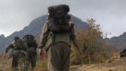 Bingöl'de iki PKK'lı teslim oldu