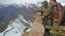 Dağlıca'da ikizinin şehitlik hikayesini dinledi
