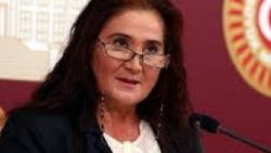 CHP'li Sabahat Akkiraz'a bir tepki de MHP'den