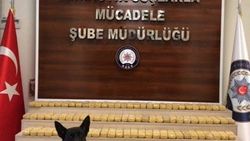 'Şila' zehir tacirlerine göz açtırmıyor