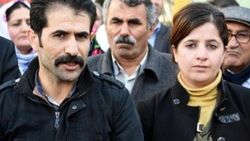 Van DBP il eş başkanları tutuklandı
