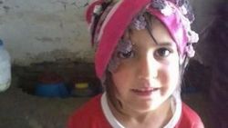 Van'da kaybolan Nehir'i bulana ödül verilecek