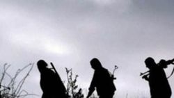 Şırnak'ta 10 terörist öldürüldü