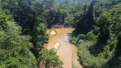 Vietnam'da sel: 7 ölü