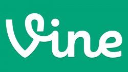 Vine nedir