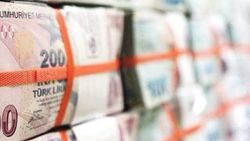 Ödenekte 'aslan payı' Hazine ve Maliye Bakanlığının