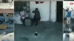 Kaçak kazı yaparken görüntülenince ateş açtılar