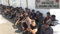 Van’da 267 kaçak göçmen yakalandı