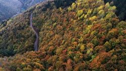 Kastamonu'da sonbahar renklerinin görsel şöleni