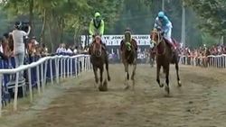 Sapanca'daki yarışlarda bir at jokeysiz yarıştı