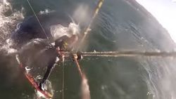 Kitesurf yapan adam balinaya çarptı