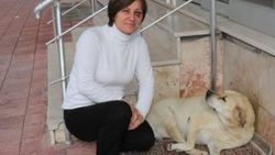 Sokak hayvanlarını besleyen kadına saldırdı