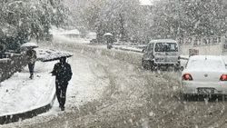 Van ve Hakkari'de kar yağışı etkili oldu