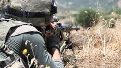 Tunceli'deki operasyonlarda 4 terörist öldürüldü