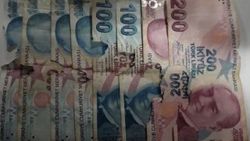 Yaşlı kadının evde sakladığı parayı fareler kemirdi