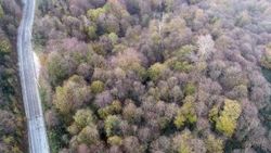 Kartepe'de renk cümbüşü