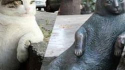 Efsane kedi Tombili'nin heykeli çalındı