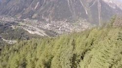 Wingsuit yaparken 90 km hızla ağaçlara daldı