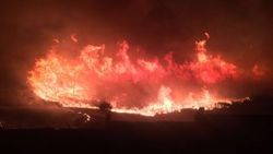 İzmir Buca'da yangın