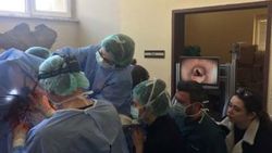 Yarış atının ameliyatına iki profesör girdi