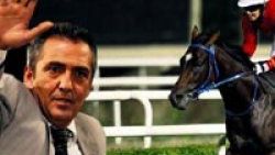 Yavuz Bingöl at yarışından 288 bin lira kazandı