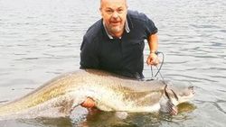 Kızılırmak'ta dev yayın balığı yakaladı