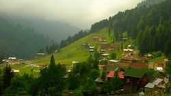Karadeniz'de kaçak yapılaşma önlenemiyor