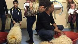 Yeliz Yeşilmen paylaştığı fotoğrafla tepki aldı