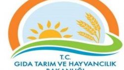 14 veteriner sınır kontrol noktası kurulacak