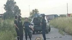 Yunanistan'da pitbull dehşeti