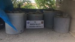 Manisa'da 7 ton zeytin çalındı