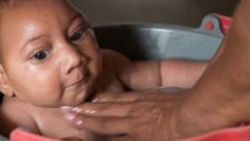 Zika virüsü 2,2 milyon kişiyi tehdit ediyor