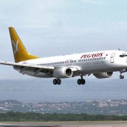 Pegasus uçağının motoruna kalkış esnasında kuş girdi