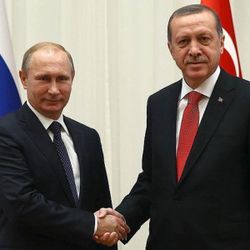 Erdoğan'dan Putin'e tebrik mesajı