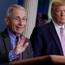 Trump'ın salgın uzmanı: Günlük vaka 100 bini bulabilir