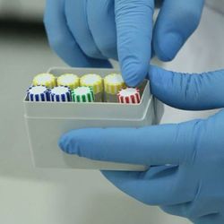 DSÖ, Hidroksiklorokin denemelerine yeniden başladı