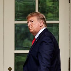 Trump: Dünya Sağlık Örgütü ile ilişkimizi sonlandırıyoruz