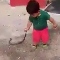 Düzce'de 3 yaşındaki çocuk yılanla oynadı