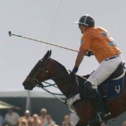 Polo sporu nedir