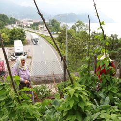Artvin'de üstünde tarla olan tünel dikkat çekiyor
