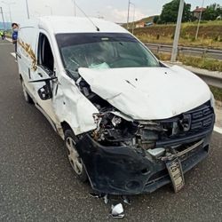 Bilecik'te kamyonet ineğe çarptı