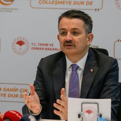 Pakdemirli: 7 alanda destek ödemelerine başlıyoruz