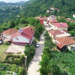 Ordu'nun Yazlık Mahallesi’nde herkesin soyadı Sarı