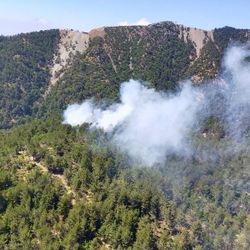 Hatay'da orman yangını çıktı