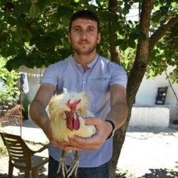 İzmir'deki boynuzlu horoz görenleri şaşırtıyor
